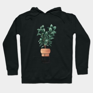 Ficus Elastica Illustration Hoodie